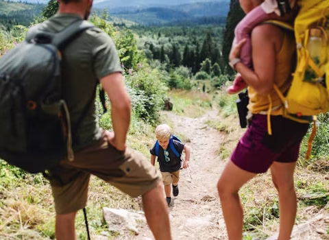 Beginner guide to family hiking trails